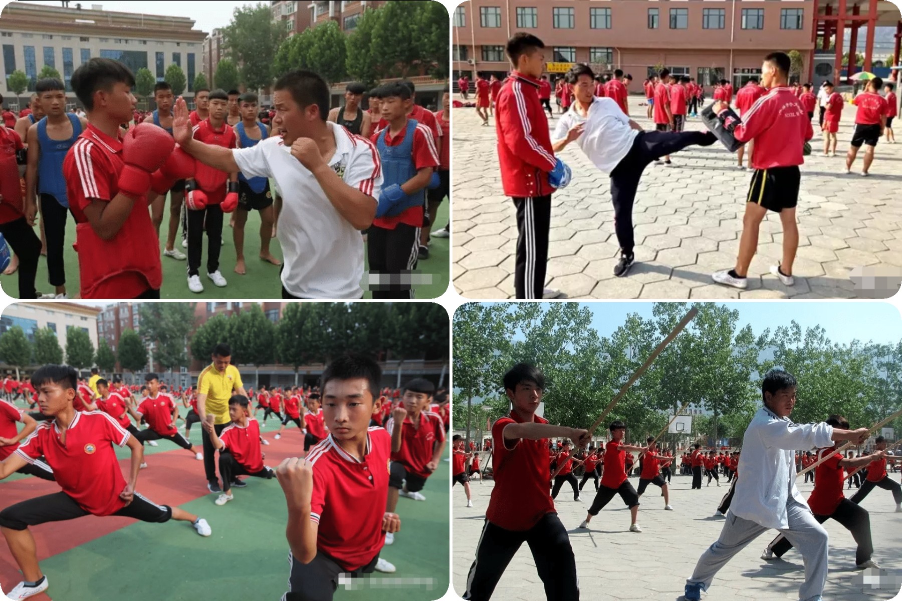 稿定設(shè)計導(dǎo)出-20200924-101223.jpg