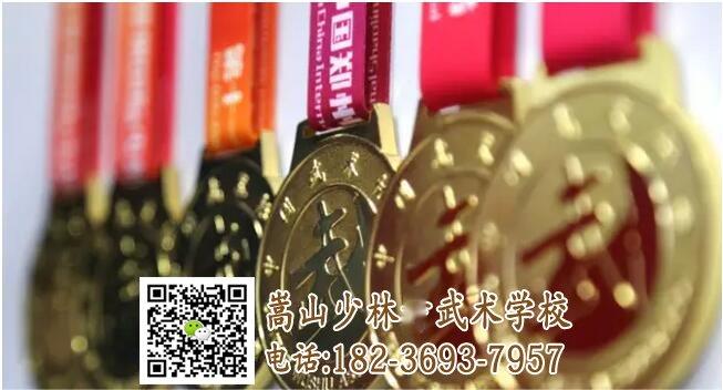 嵩山少林武術(shù)學校學員勇創(chuàng)佳績獲得102枚獎牌!