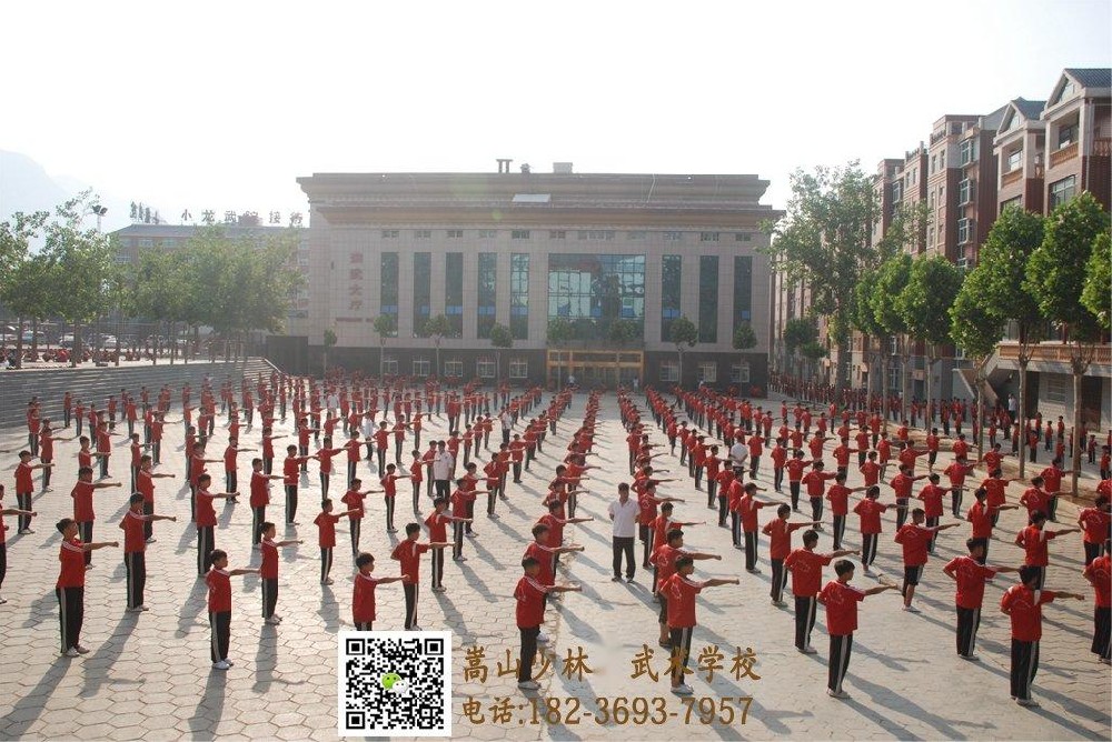 孩子有網(wǎng)癮，就到河南少林武術(shù)學(xué)校來