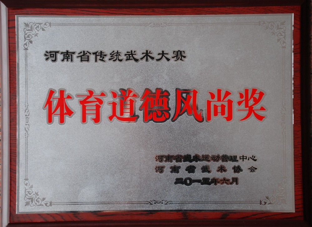 少林小龍武院套路代表隊在2015年河南省傳統(tǒng)武術(shù)大賽上載譽凱旋