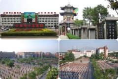 我想學(xué)武，去河南的哪家少林文武學(xué)校好呢？
