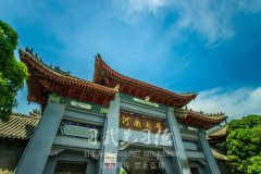 學(xué)武術(shù)能考河南哪個(gè)大學(xué)？[小龍文武]